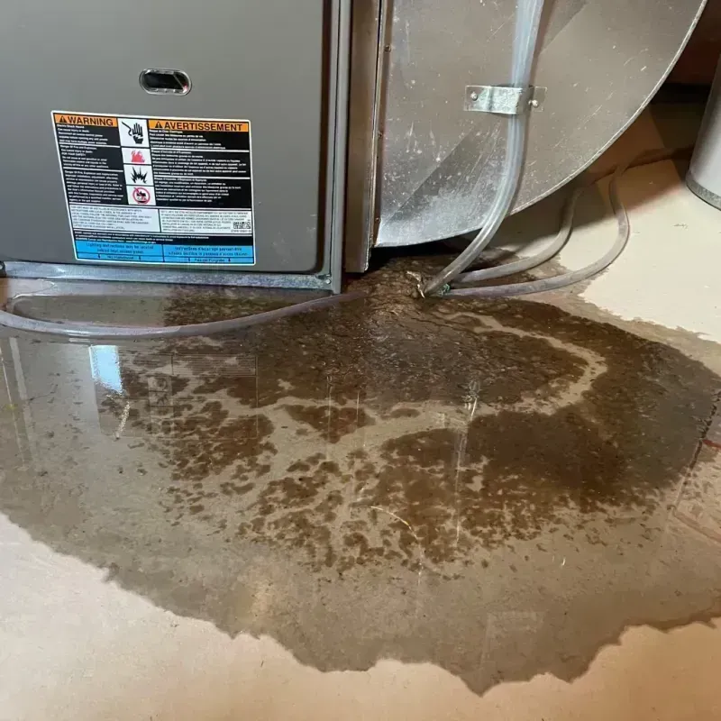 Appliance Leak Cleanup in Ripley, OH